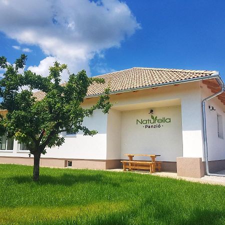 Naturella Panzio ヴィッラーニ エクステリア 写真